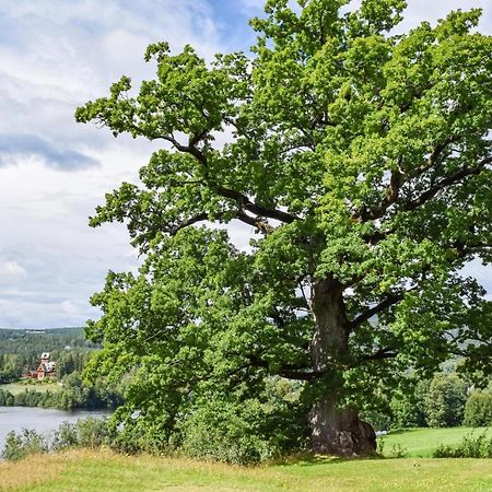 Appartamento Bjertnes Turistgard Noresund Esterno foto